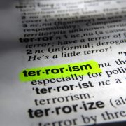 Dictionary definition of terrorism