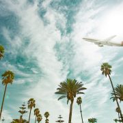Airliner flying over palm trees