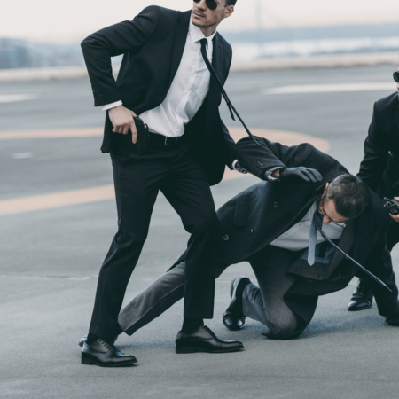 Privacy Protection for Chinese Billionaires When Traveling to the US | 001